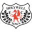 Holywell Town